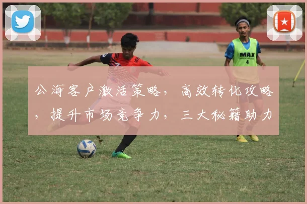 公海客户激活策略，高效转化攻略，提升市场竞争力，三大秘籍助力企业成长