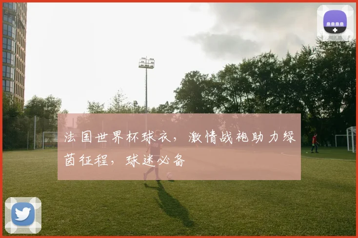 法国世界杯球衣，激情战袍助力绿茵征程，球迷必备