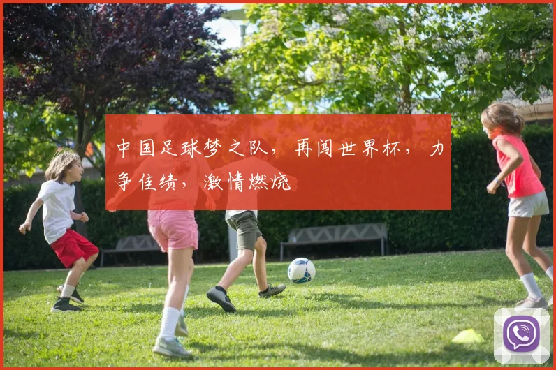 中国足球梦之队，再闯世界杯，力争佳绩，激情燃烧