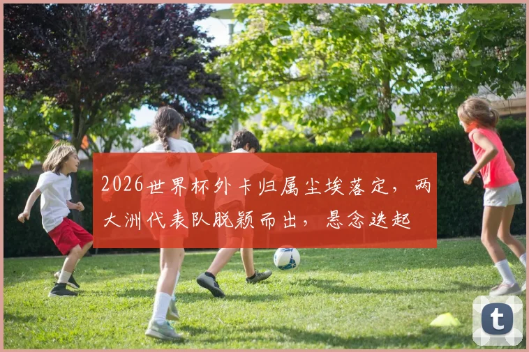 2026世界杯外卡归属尘埃落定，两大洲代表队脱颖而出，悬念迭起