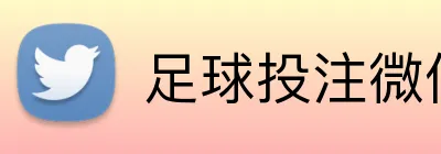 足球投注微信支付平台 Logo